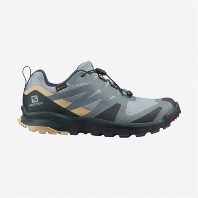 Women's Salomon XA ROGG GTX W Trail Running Shoes Green / Cream | AU-063PMTO